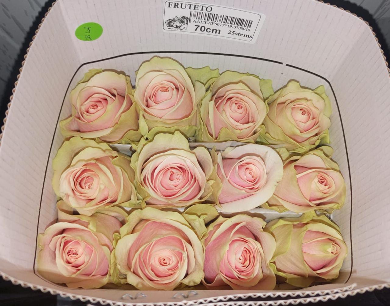 Rouslan Flowers - mezcla premium